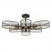 Светильник потолочный LUMION VIVANA 8153/6C