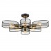 Светильник потолочный LUMION VIVANA 8153/6C