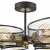 Светильник потолочный LUMION VIVANA 8153/6C