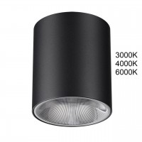 Потолочный светильник ODEON LIGHT BRIM 7138/12CL