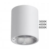 Потолочный светильник ODEON LIGHT BRIM 7139/12CL