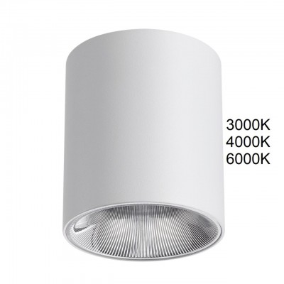 Потолочный светильник ODEON LIGHT BRIM 7139/12CL