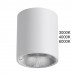 Потолочный светильник ODEON LIGHT BRIM 7139/12CL
