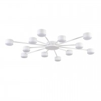 Люстра LUMION TORINA 8343/12C