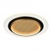 Потолочный светильник СОНЕКС SUNNY 7731/80L