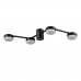 Люстра потолочная LUMION SANATA 8187/4C