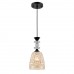 Светильник подвесной LUMION ELENIKA 8056/1А