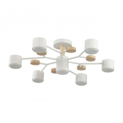 Потолочный светильник LUMION RONDO 8195/7C
