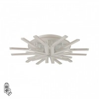 Потолочный светильник LUMION ALBERTA 8029/95CL