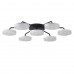Люстра потолочная LUMION DIDANA 8236/7CL