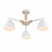 Люстра потолочная LUMION COLANGE 8095/3C