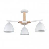 Люстра потолочная LUMION COLANGE 8095/3C