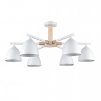 Люстра потолочная LUMION COLANGE 8095/6C