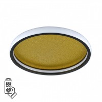 Потолочный светильник СОНЕКС SHIMMERS 7736/60L