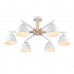 Люстра потолочная LUMION COLANGE 8095/6C