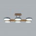 Потолочный светильник LUMION PLATO 8031/108CL
