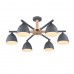 Люстра потолочная LUMION COLANGE 8096/6C