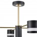 Люстра потолочная LUMION LANIKA 8240/8C