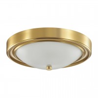 Настенно-потолочный светильник LUMION VINTAGE 5259/2C