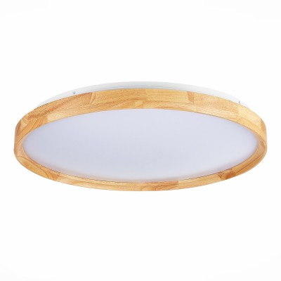 Светильник потолочный EVOLUCE DELIA SLE201382-01