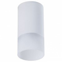 Накладной светильник Maytoni Pauline C007CW-01W
