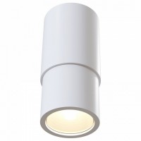Накладной светильник Maytoni Sonas C033WL-01W