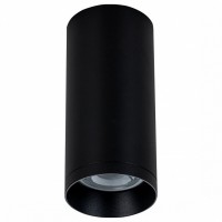 Накладной светильник Maytoni Alfa C010CL-01B