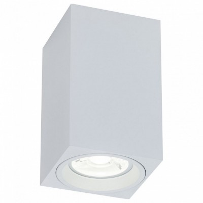 Накладной светильник Maytoni Alfa C011CL-01W