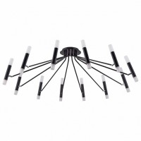 Потолочная люстра Maytoni Vigo MOD620CL-24B