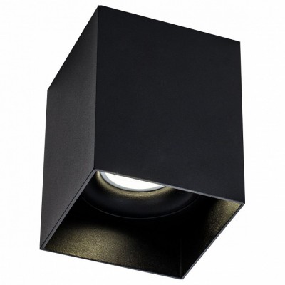 Накладной светильник Maytoni Alfa C015CL-01B