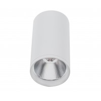 Светильник Фабио 08570-10,01