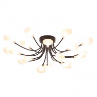 Потолочная люстра Arte lamp GUIMET A7423PL-20BK