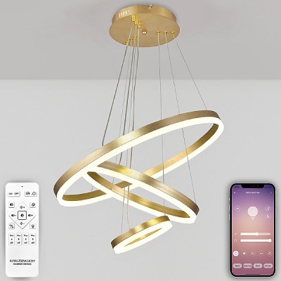 Подвесная люстра Oreol LED LAMPS 81279