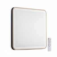 НАСТЕННО ПОТОЛОЧНЫЙ СВЕТИЛЬНИК AKUNA 7621/DL