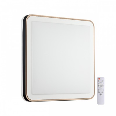 НАСТЕННО ПОТОЛОЧНЫЙ СВЕТИЛЬНИК AKUNA 7621/DL