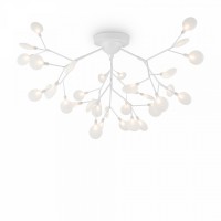 Потолочная люстра Freya Florencia FR5049CL-36W