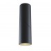 Потолочный светильник Technical Dafne C027CL-L10B