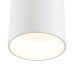 Потолочный светильник Technical Dafne C027CL-L10W