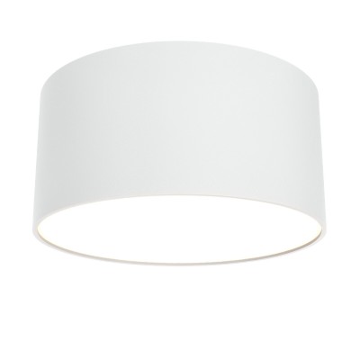 Потолочный светильник Technical Zon C032CL-L12W3K