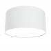 Потолочный светильник Technical Zon C032CL-L12W3K