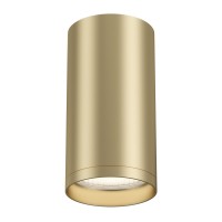 Потолочный светильник Technical FOCUS S C052CL-01MG