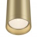 Потолочный светильник Technical Focus C010CL-01MG