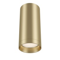 Потолочный светильник Technical Focus C010CL-01MG