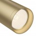 Потолочный светильник Technical Focus C018CL-01MG