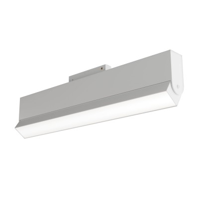 Трековый светильник Technical BASIS TR013-2-20W4K-W