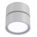 Потолочный светильник Technical Onda C024CL-L12W4K