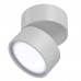 Потолочный светильник Technical Onda C024CL-L12W4K