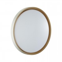 Настенно-потолочный светильник SONEX KISIL 7645/DL