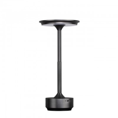 Настольная лампа ODEON LIGHT TET-A-TET 5034/6TL