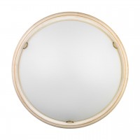 Настенно-потолочный светильник SONEX PROVENCE 7605/DL